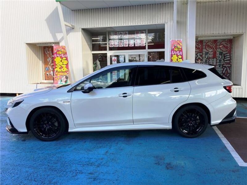 LEVORG
