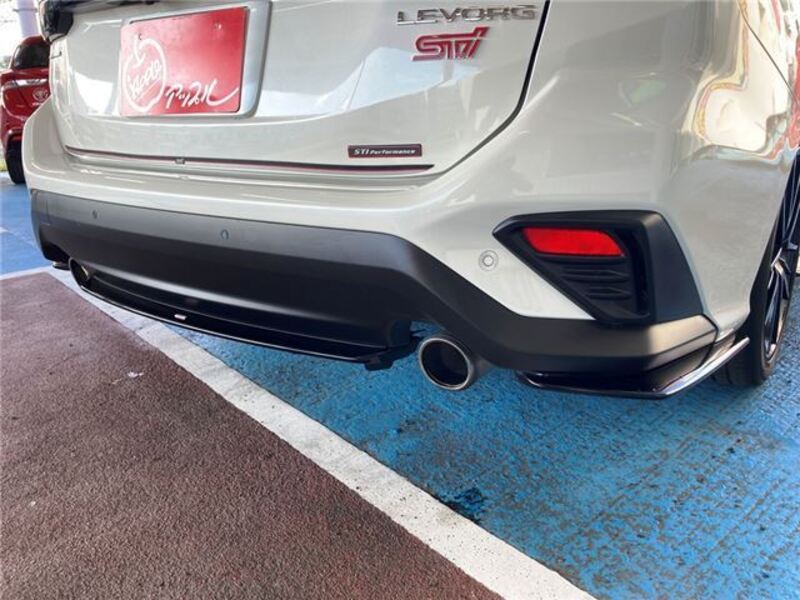LEVORG