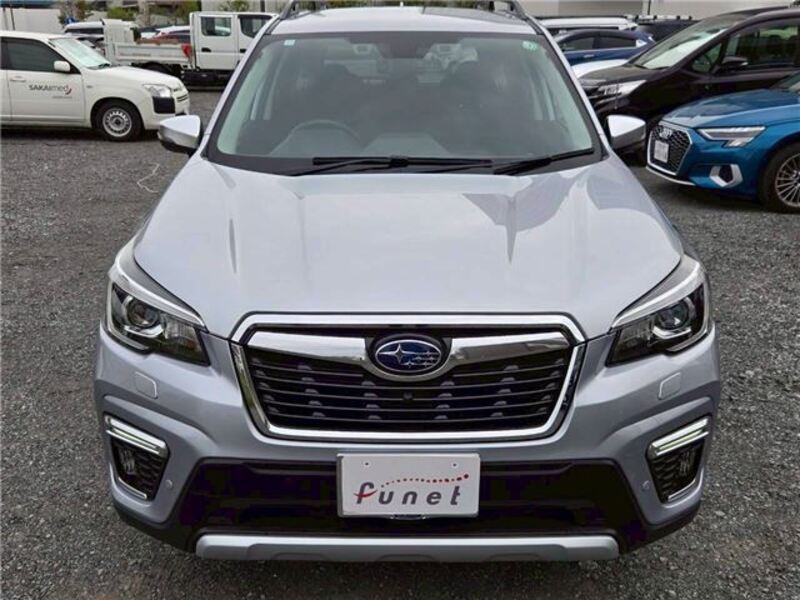 FORESTER