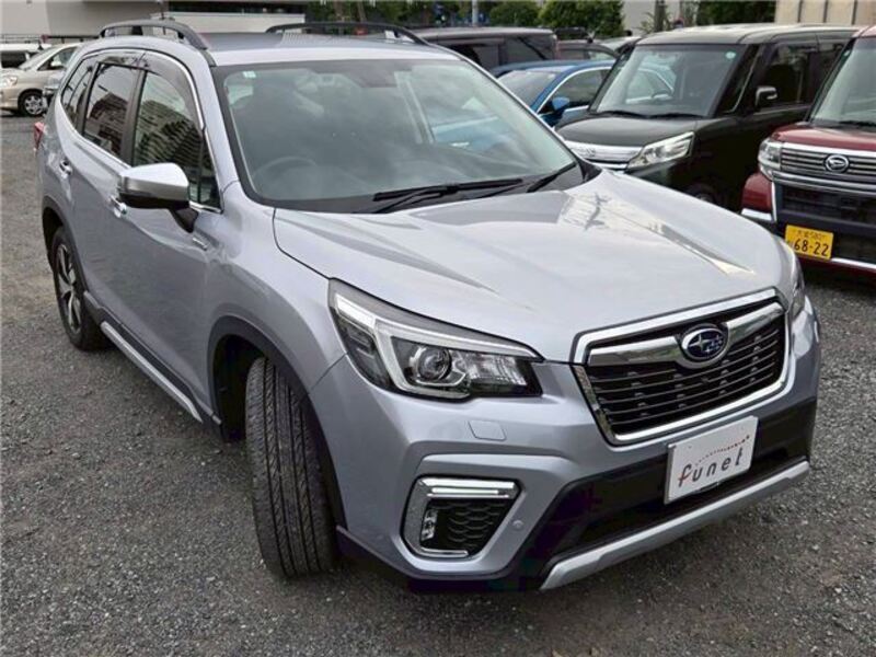 FORESTER