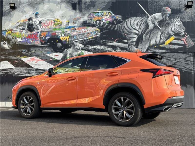NX