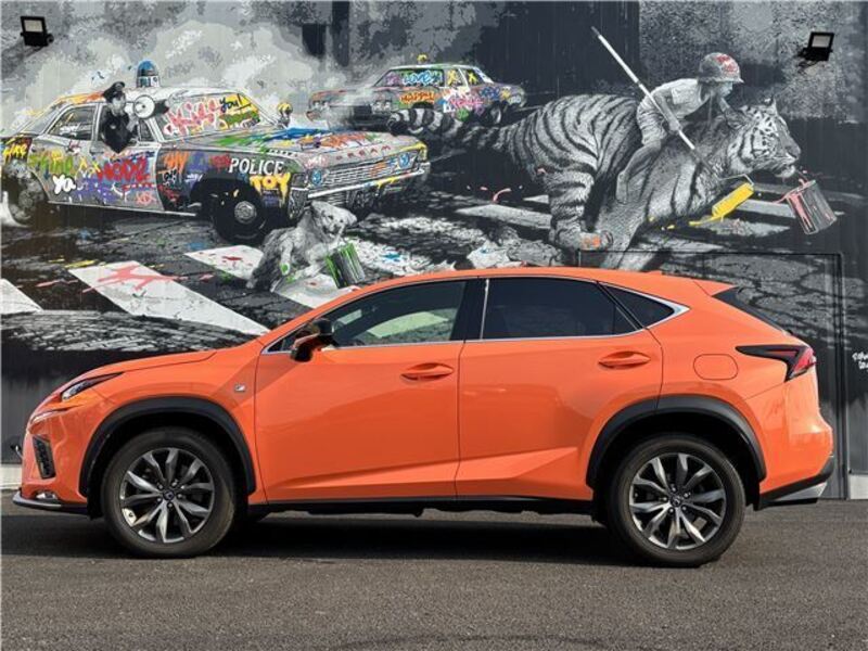 NX