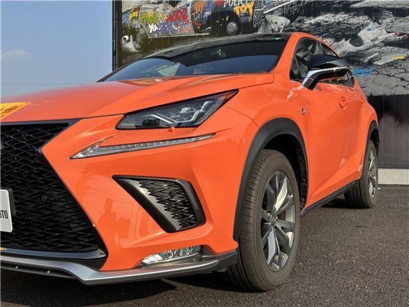 NX