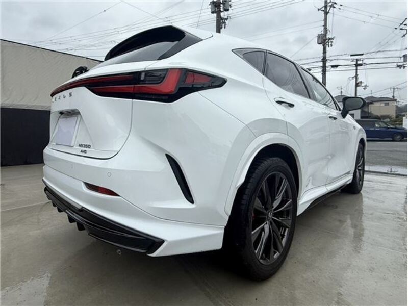NX