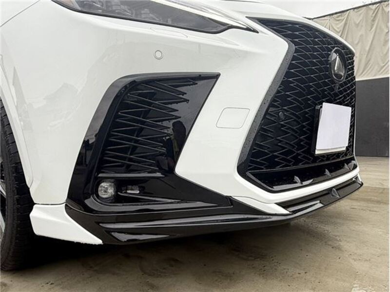 NX