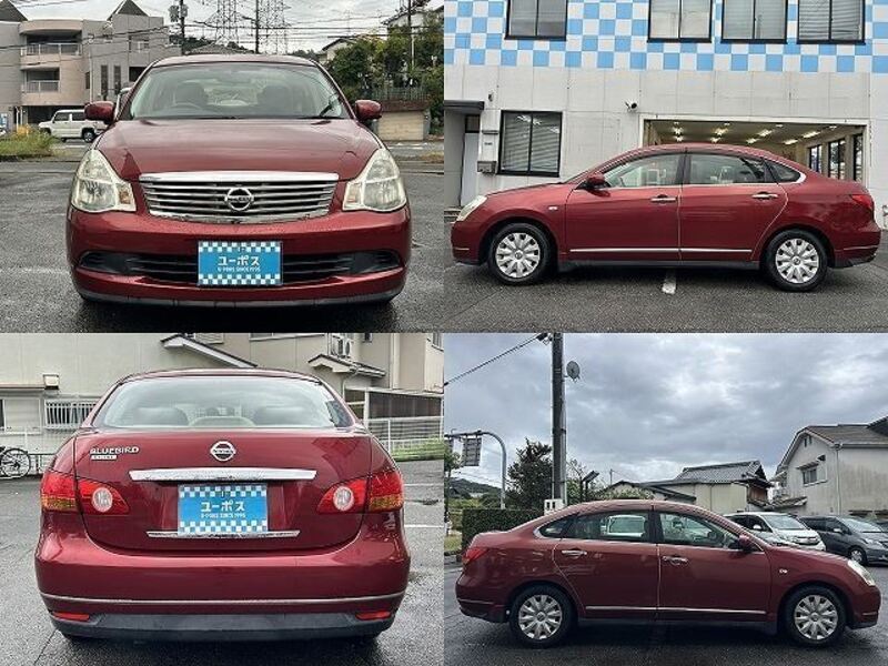 BLUEBIRD SYLPHY