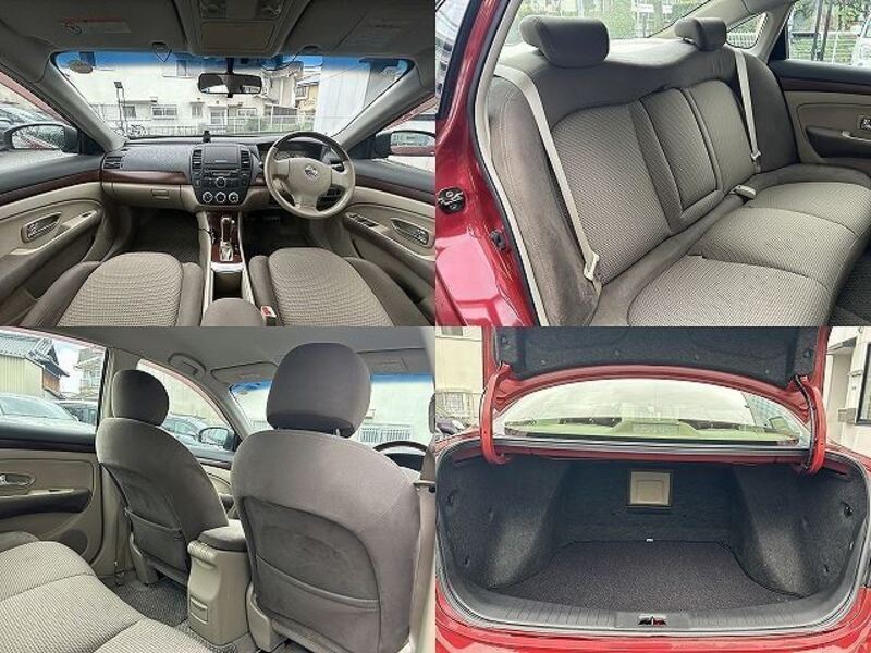 BLUEBIRD SYLPHY