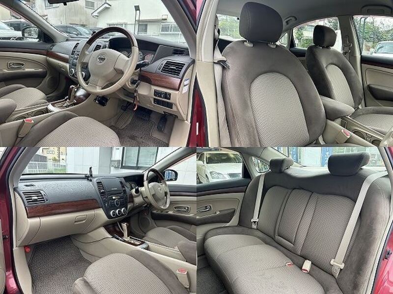 BLUEBIRD SYLPHY