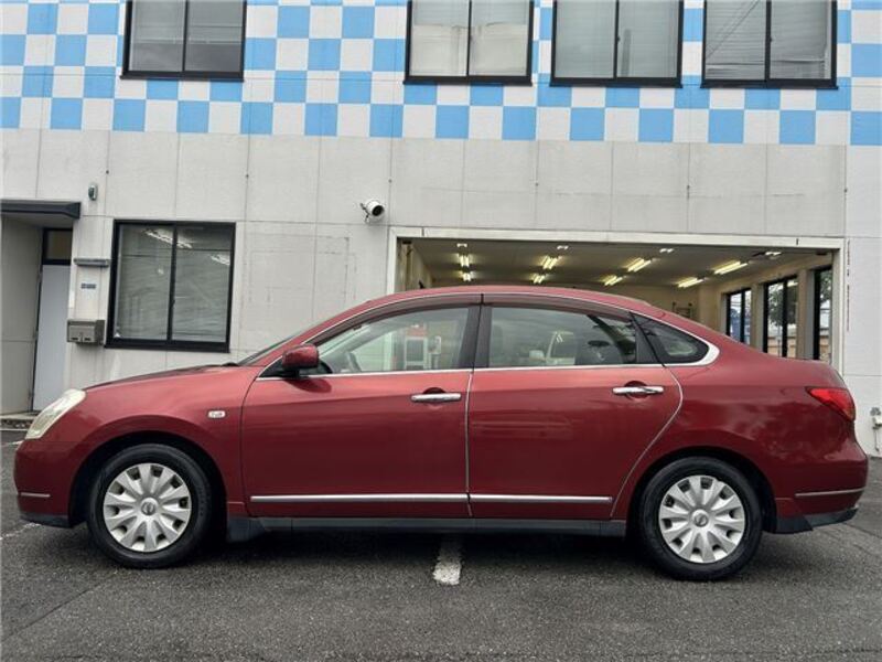 BLUEBIRD SYLPHY
