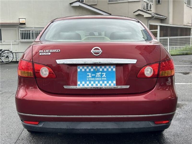 BLUEBIRD SYLPHY