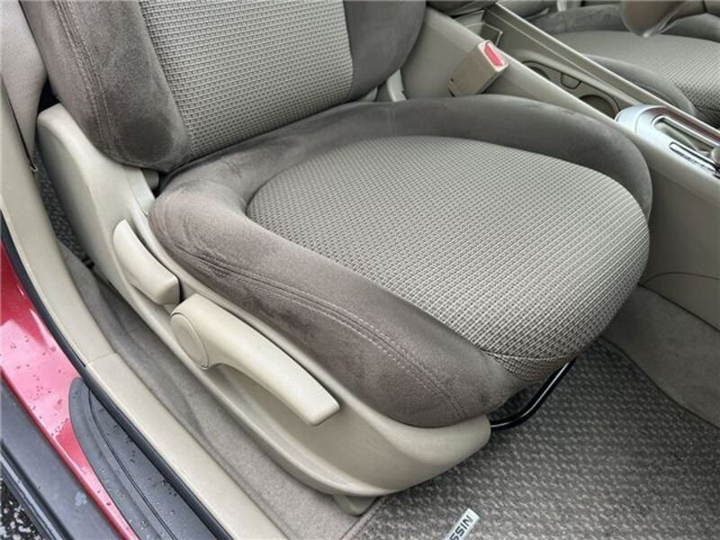 BLUEBIRD SYLPHY