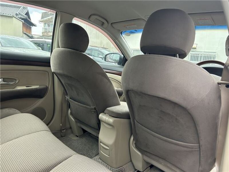 BLUEBIRD SYLPHY