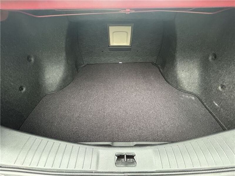 BLUEBIRD SYLPHY