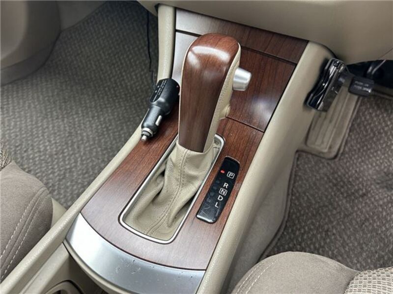 BLUEBIRD SYLPHY