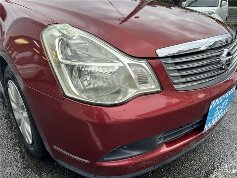 BLUEBIRD SYLPHY