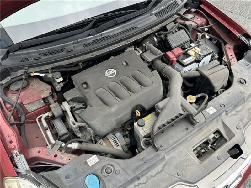 BLUEBIRD SYLPHY