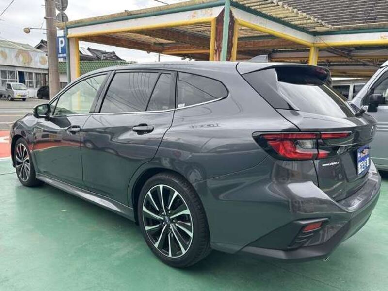 LEVORG