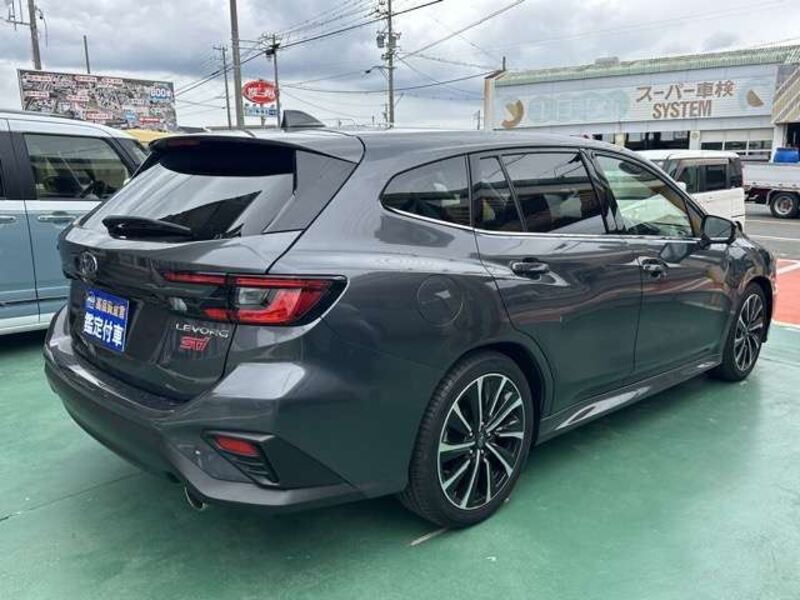 LEVORG