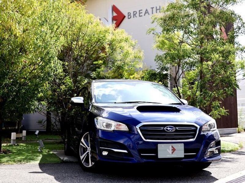 LEVORG-0