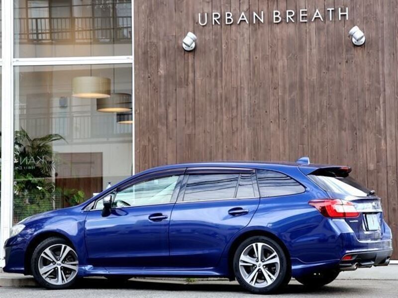 LEVORG