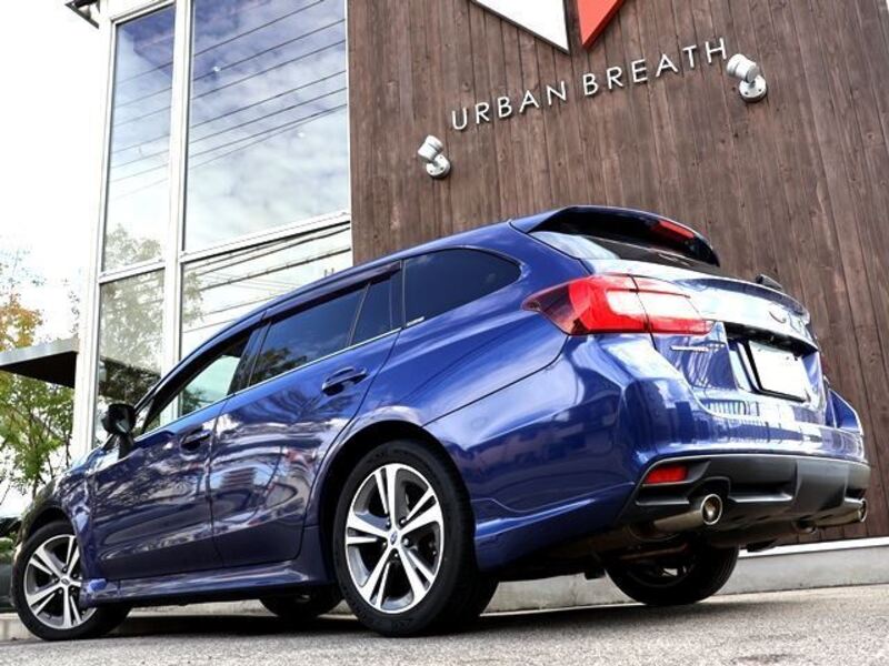 LEVORG