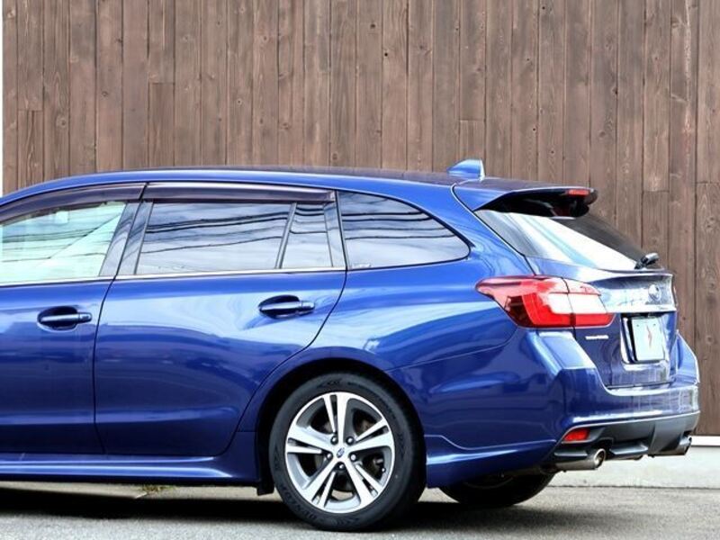 LEVORG