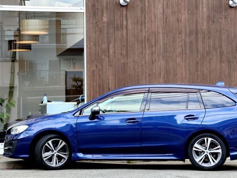 LEVORG