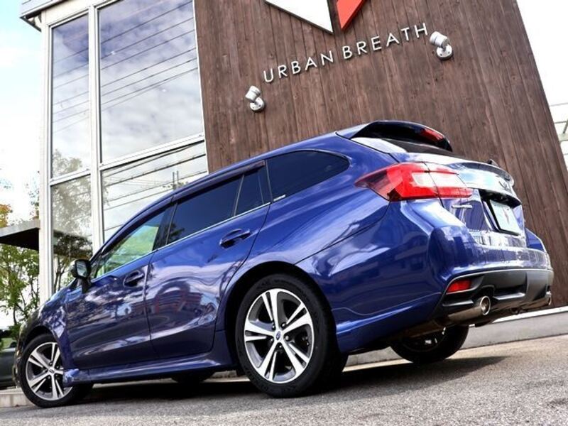 LEVORG
