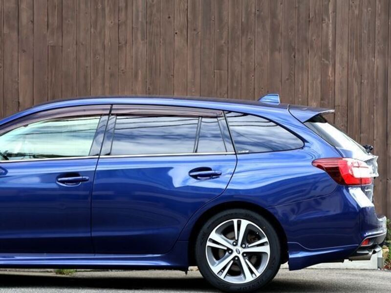 LEVORG