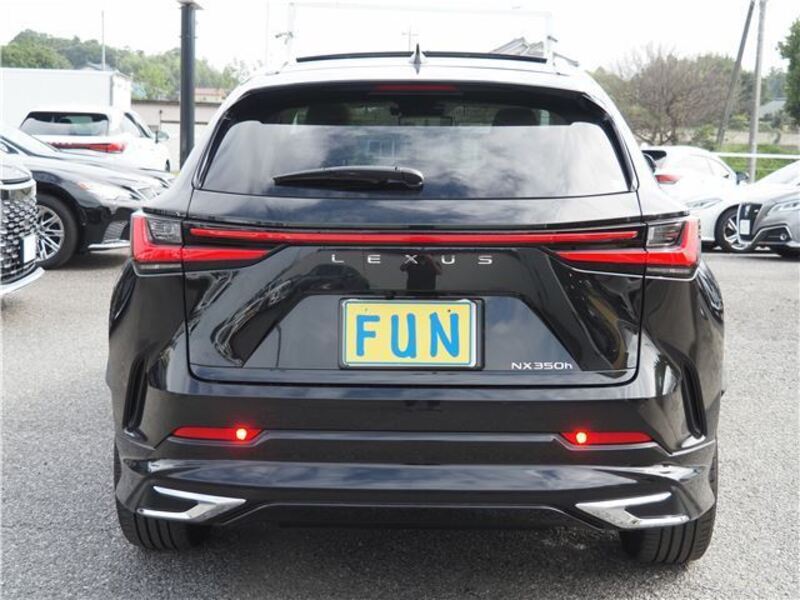 NX