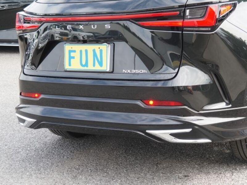 NX