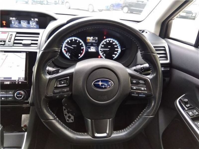 LEVORG