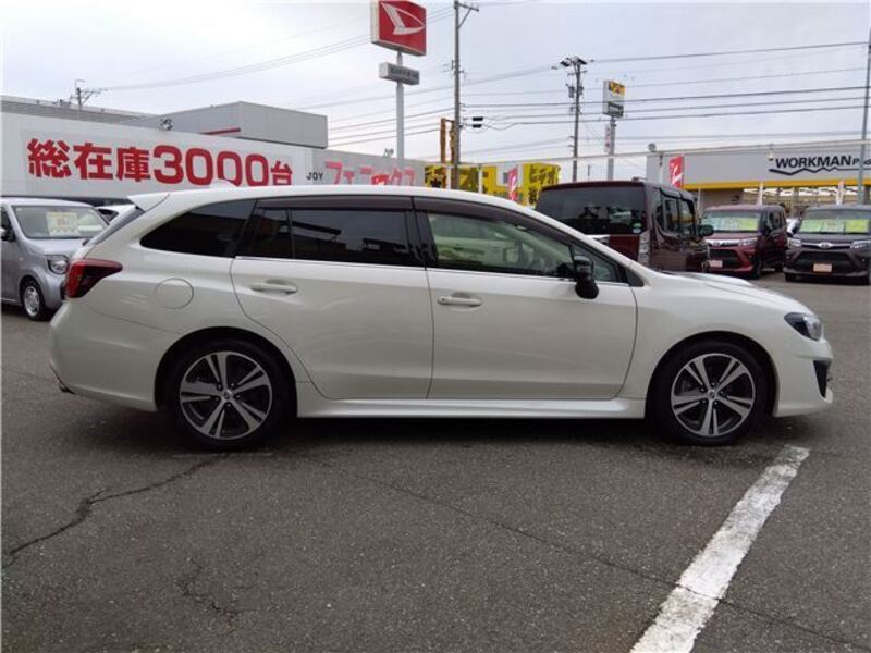 LEVORG