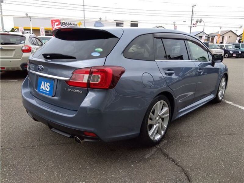 LEVORG