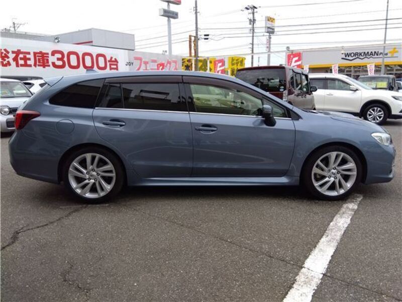 LEVORG