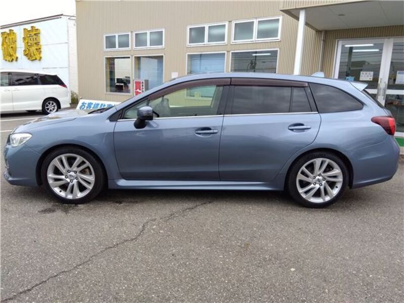 LEVORG