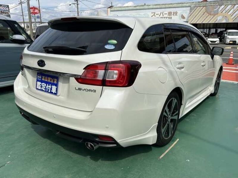 LEVORG