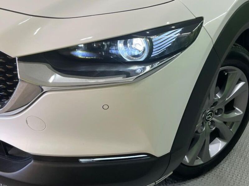 CX-30