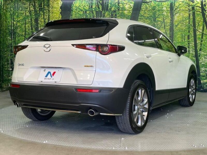 CX-30