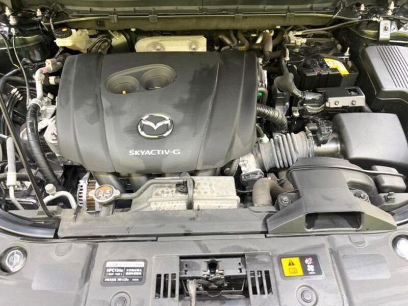 CX-8