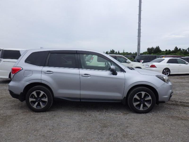 FORESTER