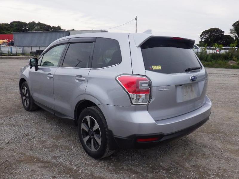 FORESTER