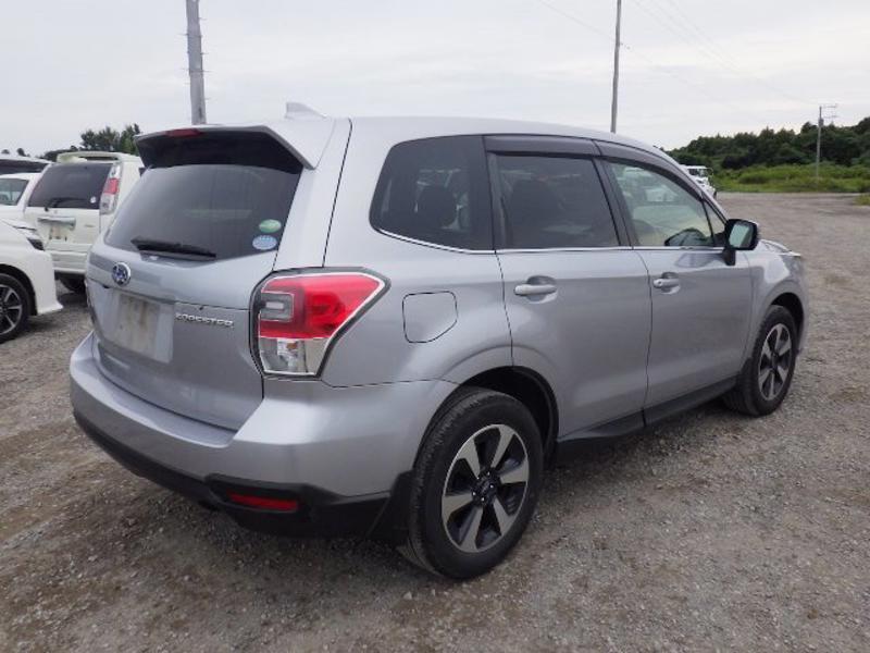 FORESTER