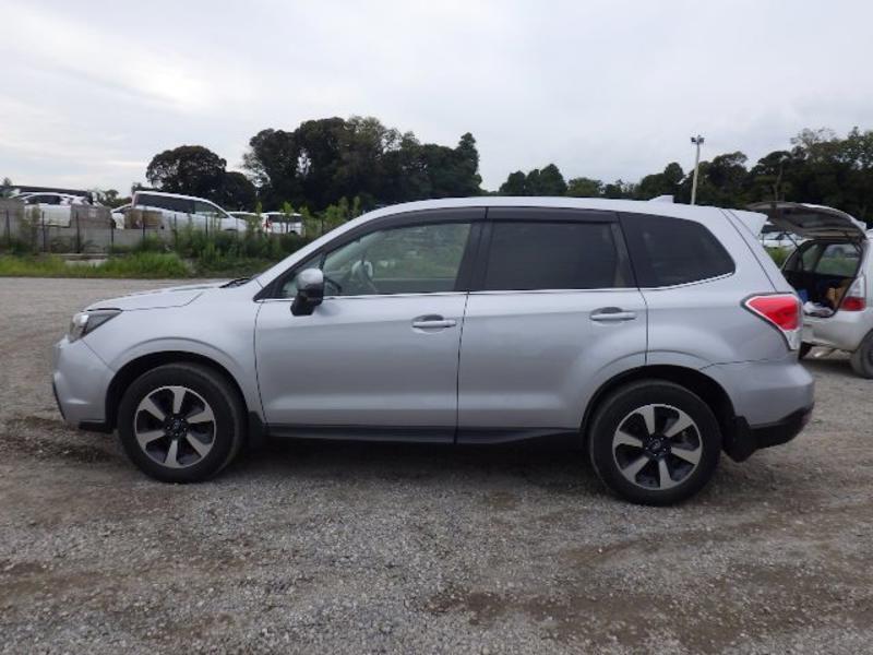 FORESTER