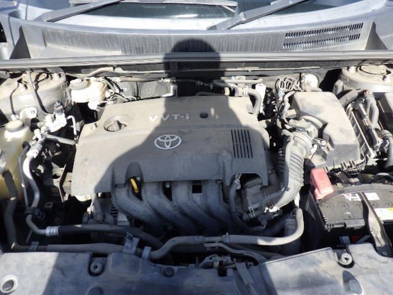 COROLLA RUMION