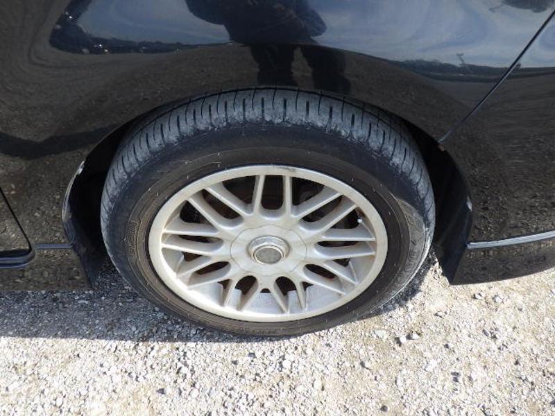 COROLLA RUMION