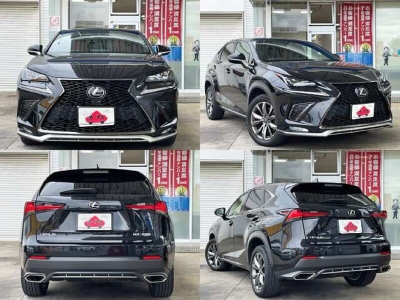 NX