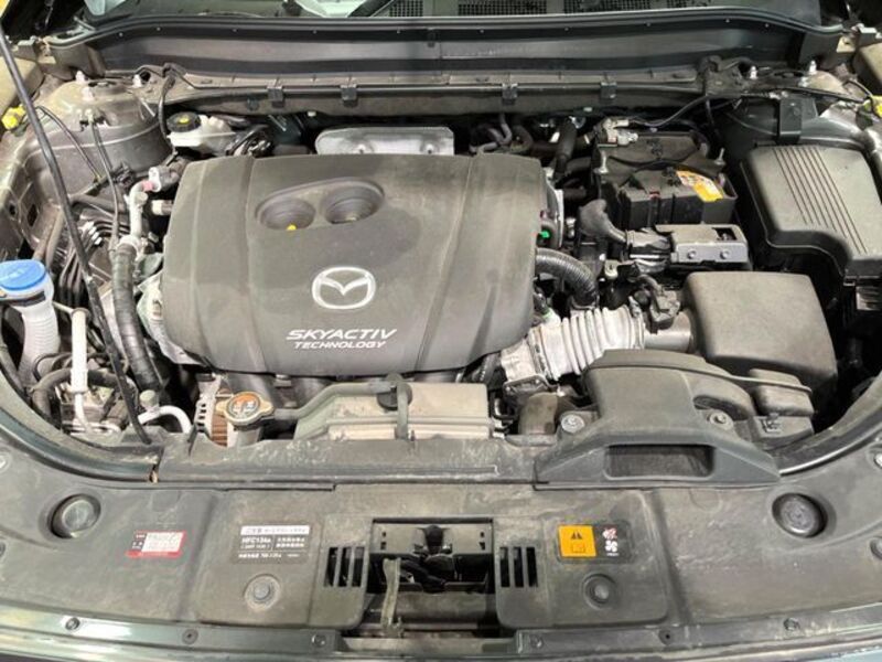 CX-8