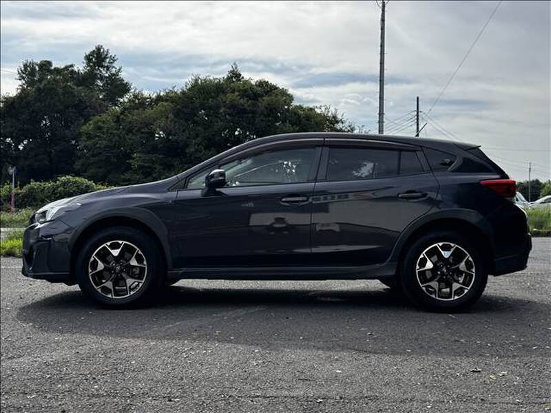 XV
