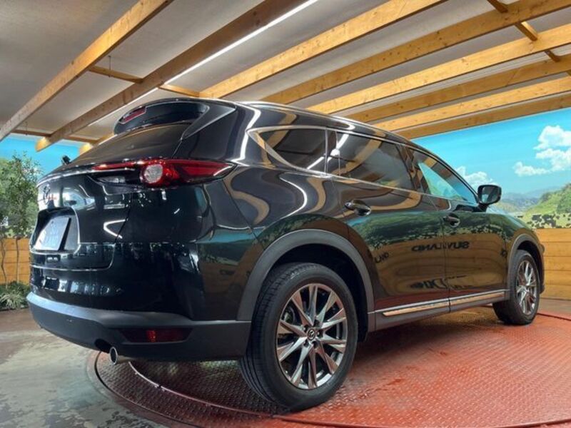 CX-8